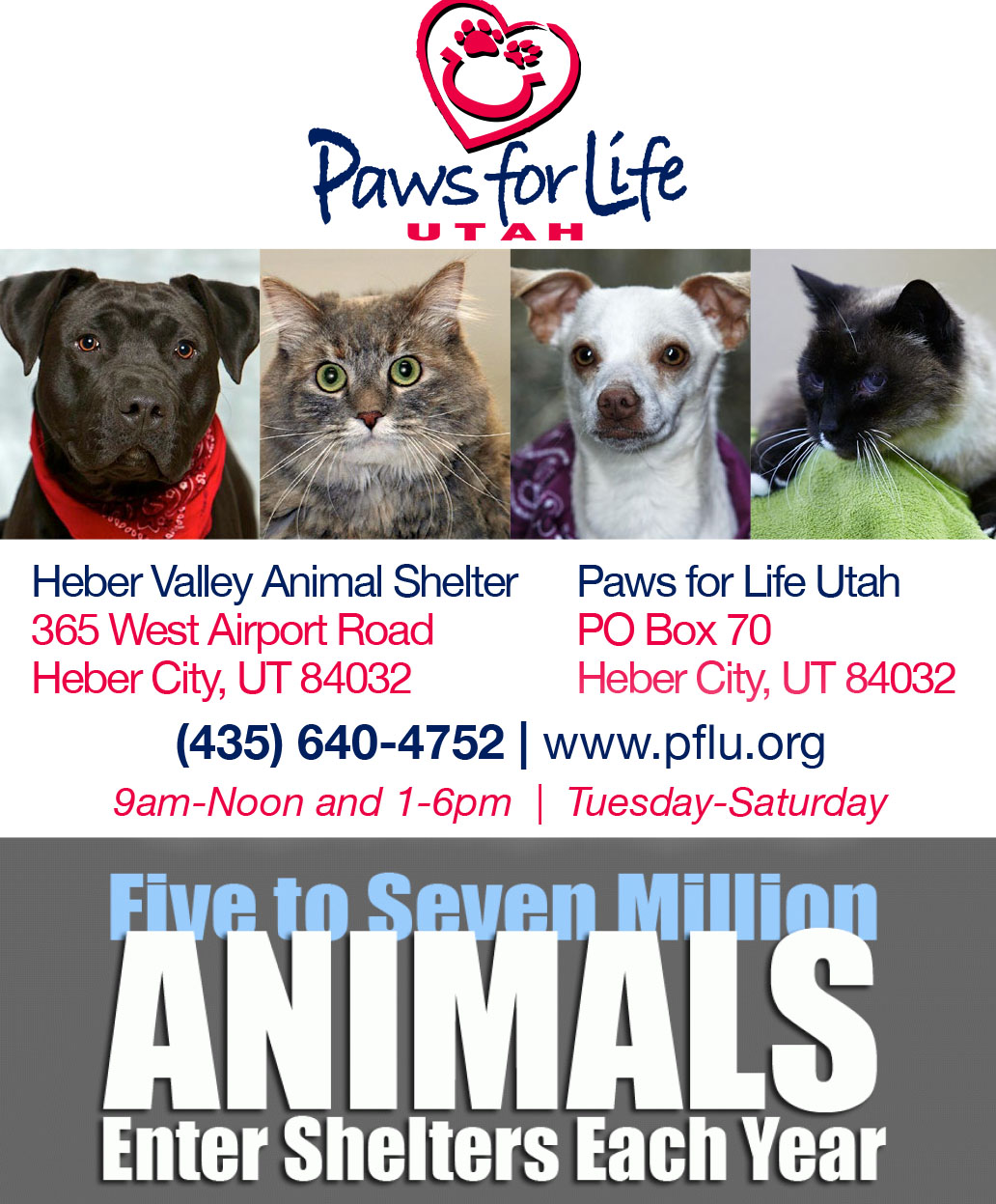 Paws for Life Utah Heber Valley Guide
